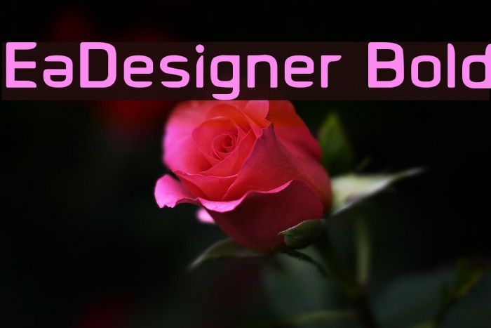 EaDesigner Bold フォント examples