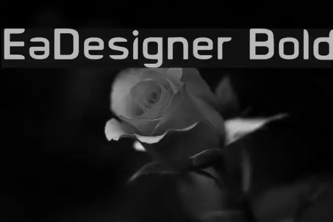 EaDesigner Bold フォント examples