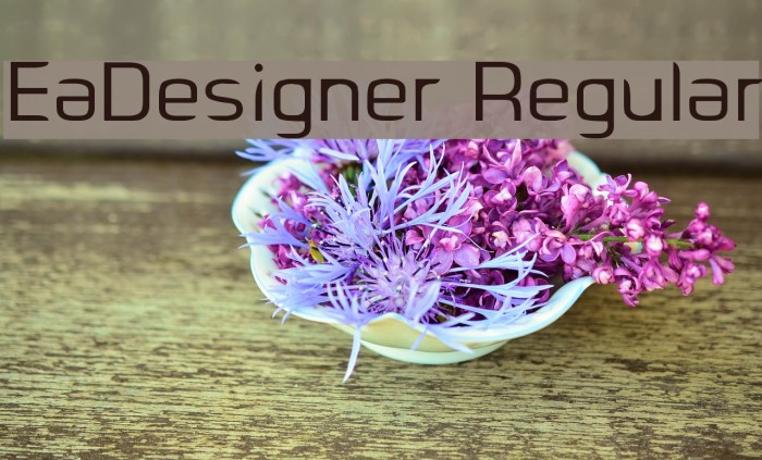 EaDesigner Regular Font examples