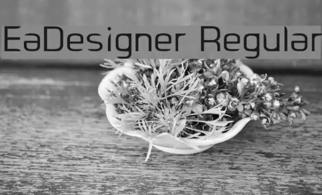 EaDesigner Regular Шрифта examples