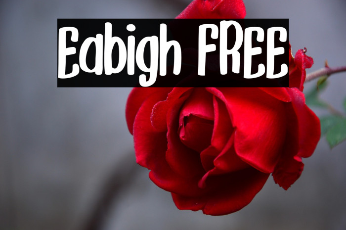 Eabigh FREE Example 2