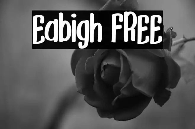 Eabigh FREE Example 2