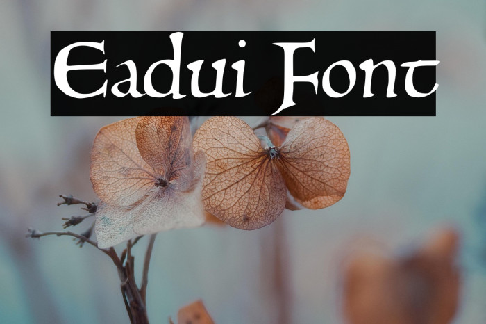 Eadui Example 1