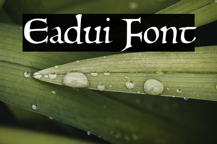 Eadui Example 2
