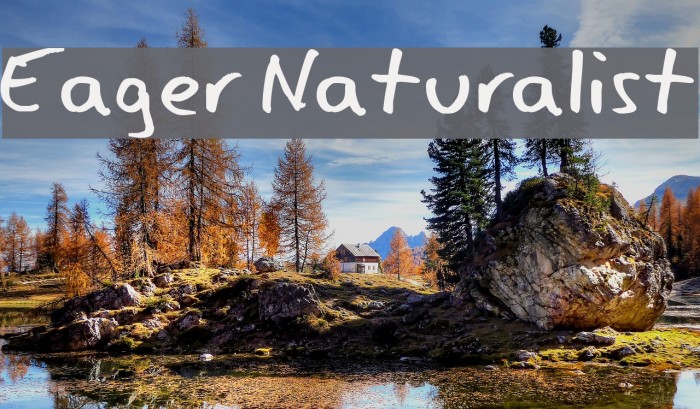 Eager Naturalist Font examples