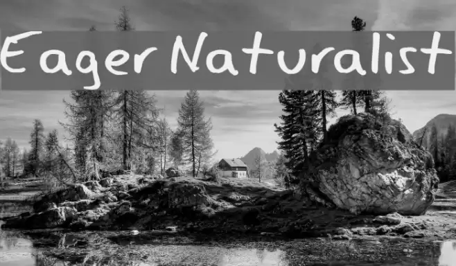 Eager Naturalist Polices examples