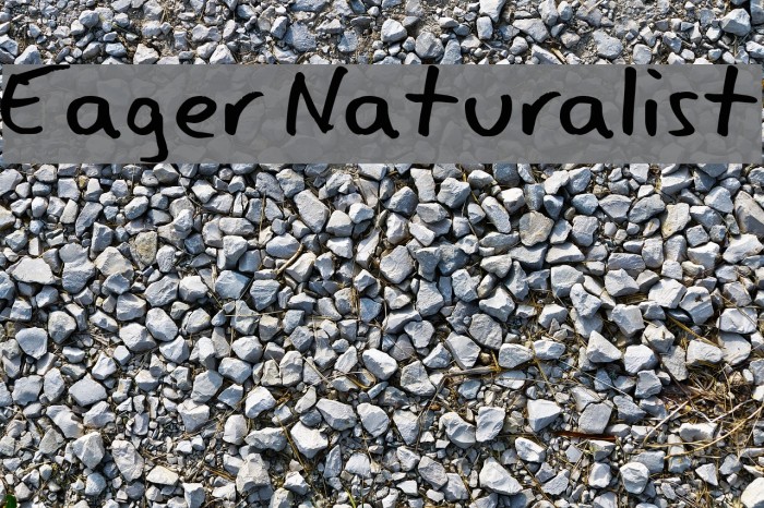 Eager Naturalist Font examples