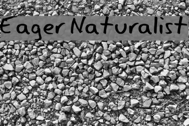 Eager Naturalist Polices examples