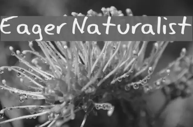 Eager Naturalist Polices examples