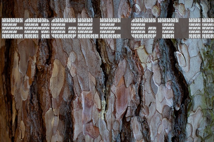 Eagle GT II Example 1