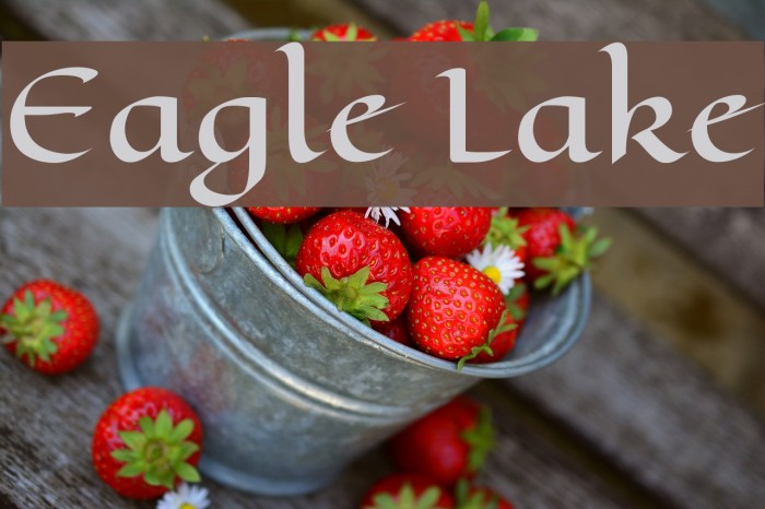 Eagle Lake Font examples