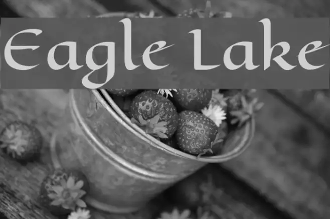 Eagle Lake Example 2