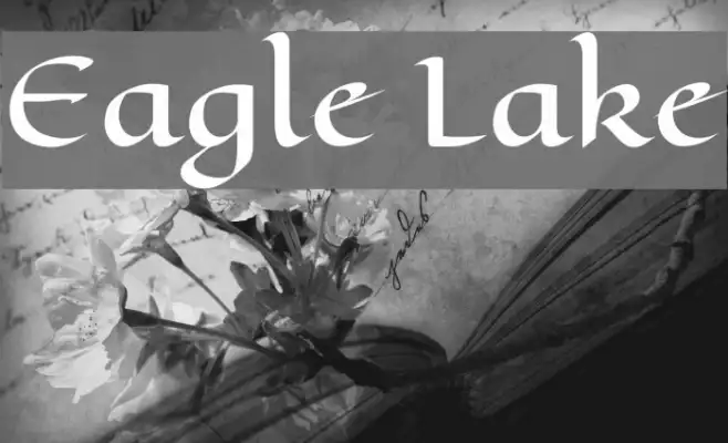 Eagle Lake Example 3