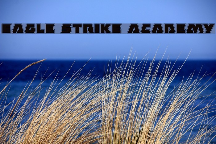 Eagle Strike Academy Font examples