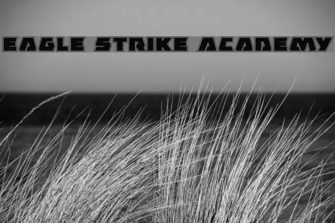 Eagle Strike Academy フォント examples