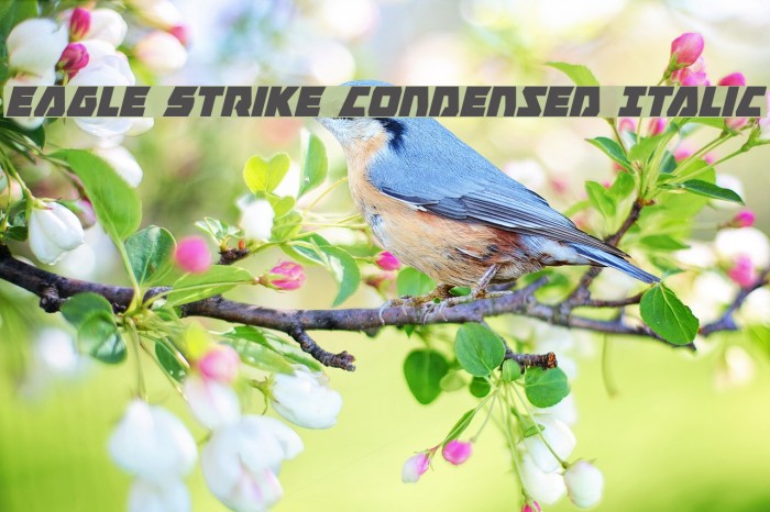 Eagle Strike Condensed Italic Font examples
