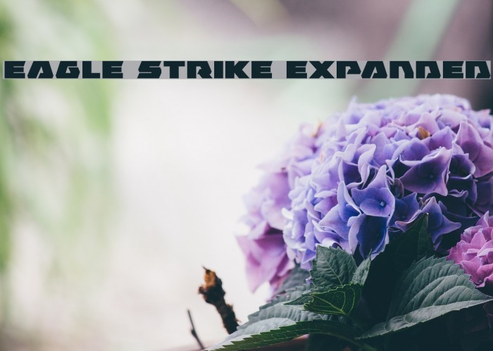 Eagle Strike Expanded Font examples