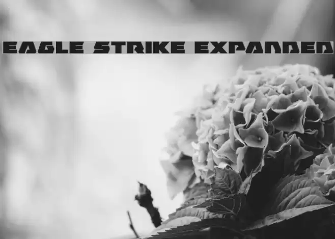Eagle Strike Expanded फ़ॉन्ट examples