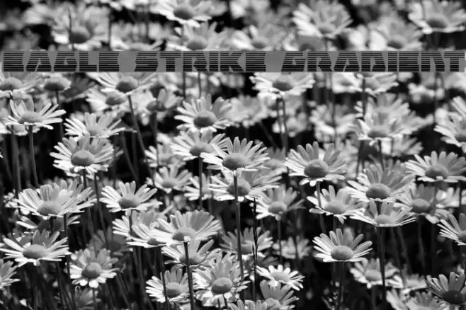 Eagle Strike Gradient Font examples