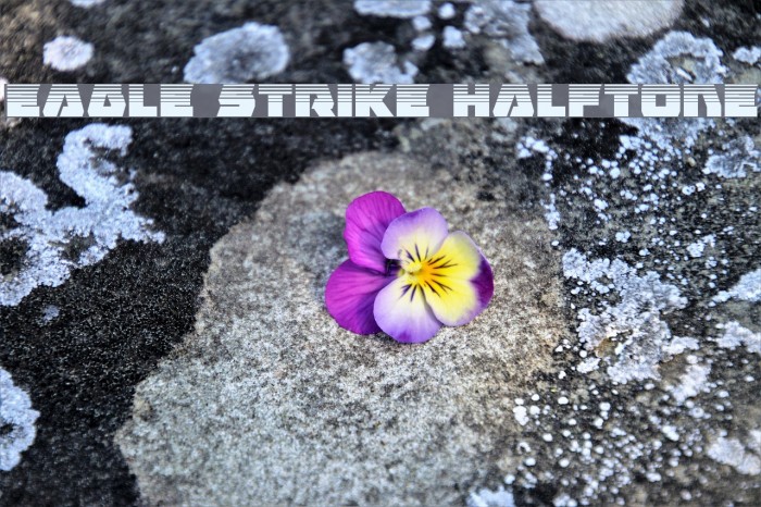Eagle Strike Halftone फ़ॉन्ट examples