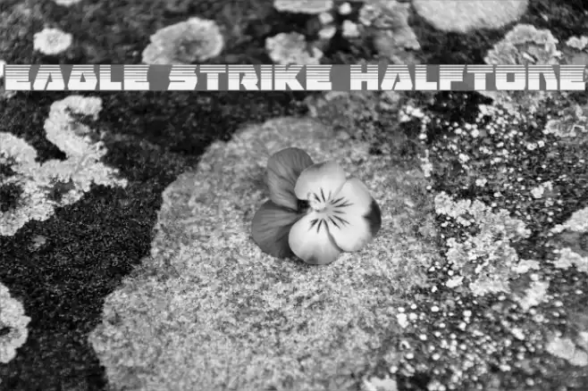 Eagle Strike Halftone फ़ॉन्ट examples