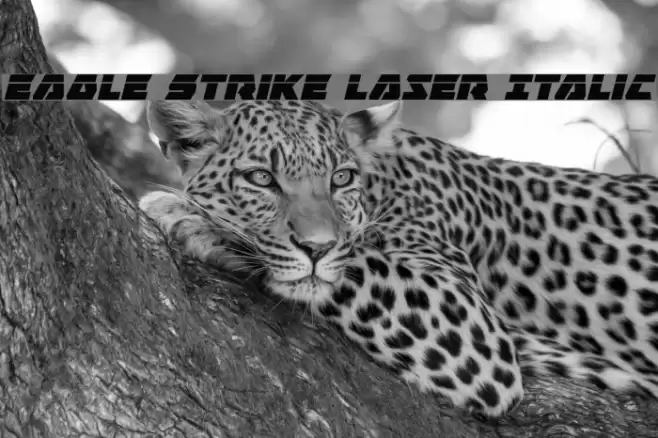 Eagle Strike Laser Italic Font examples