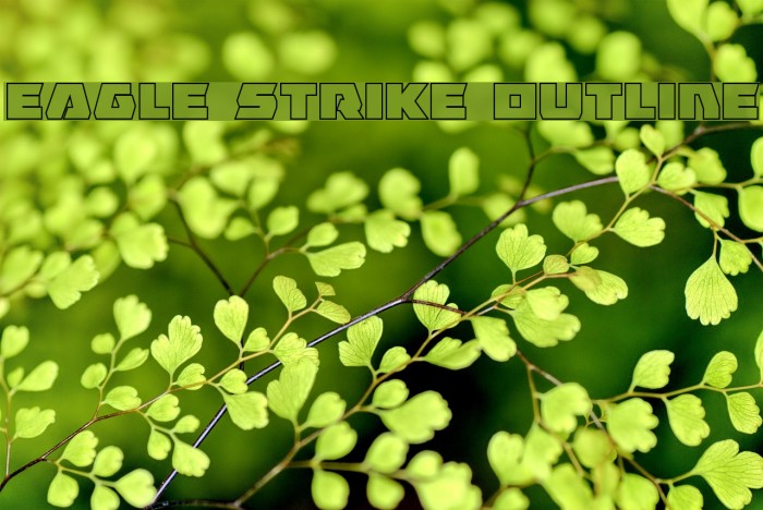 Eagle Strike Outline Font examples