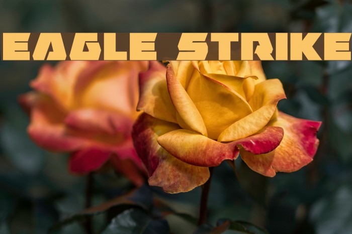 Eagle Strike Font examples