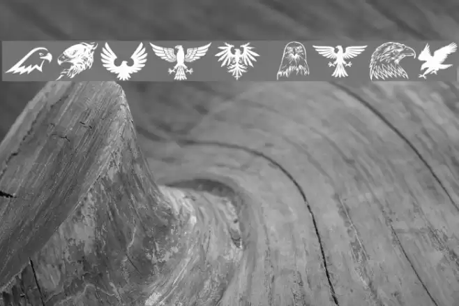 Eagle Font examples