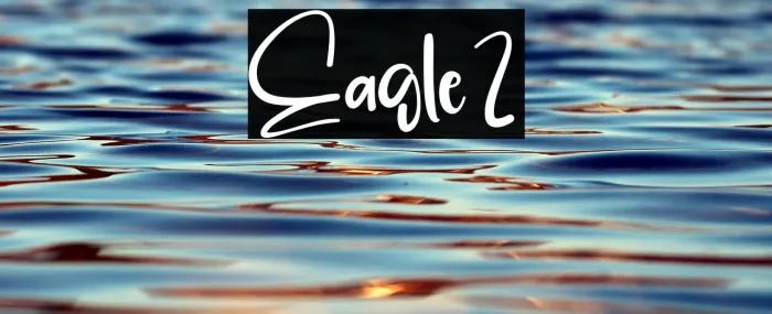 Eagle2 Example 1