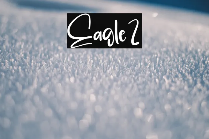 Eagle2 Example 2