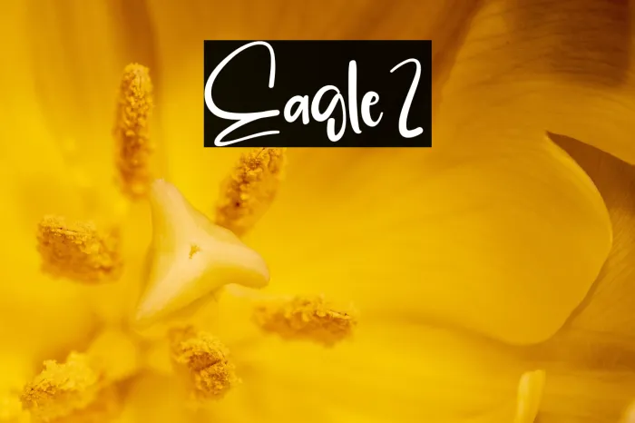 Eagle2 Example 3