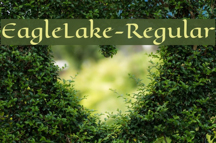 EagleLake-Regular Font examples