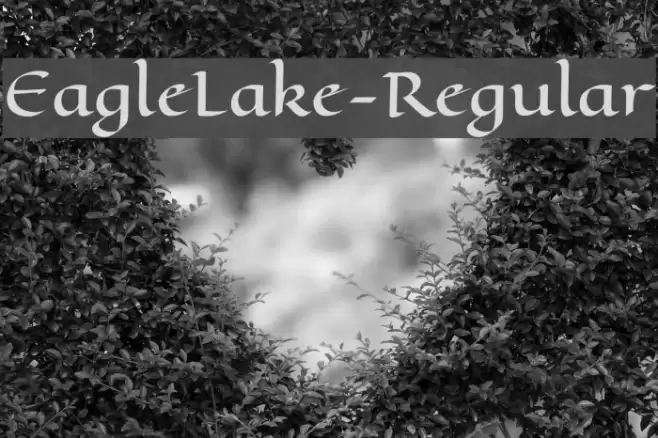 EagleLake-Regular Font examples