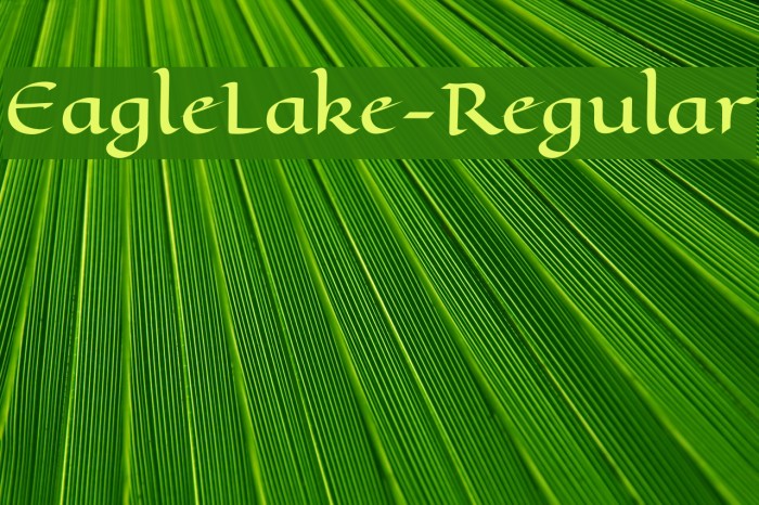 EagleLake-Regular Font examples