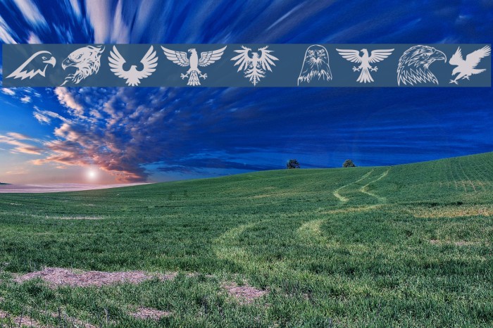 Eagle Font examples