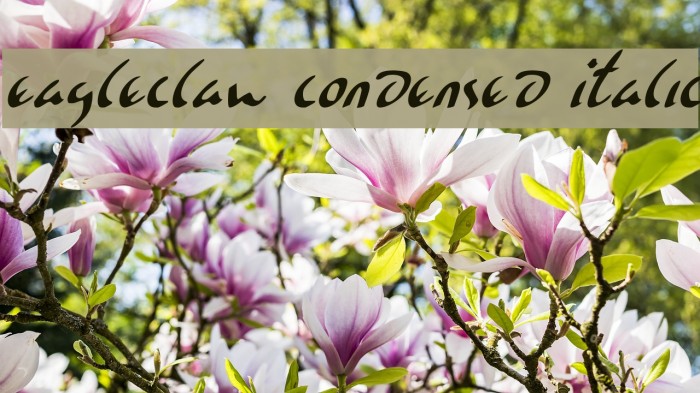 Eagleclaw Condensed Italic Font examples