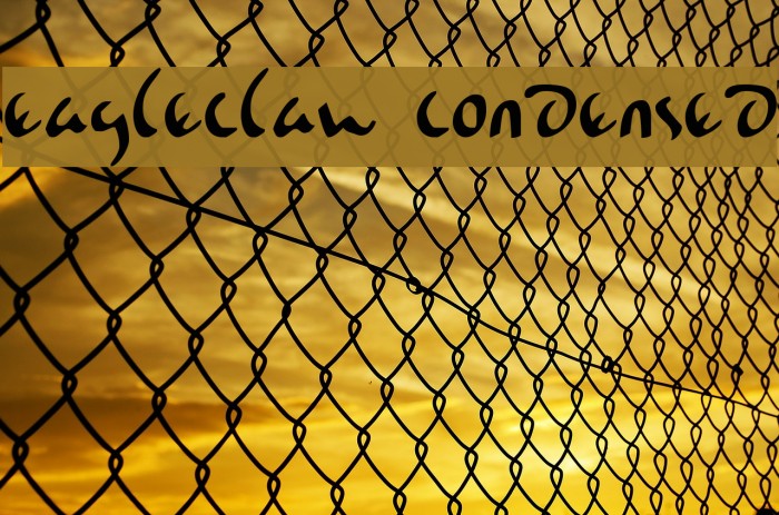 Eagleclaw Condensed Example 2