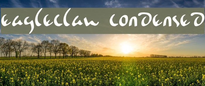 Eagleclaw Condensed Example 3