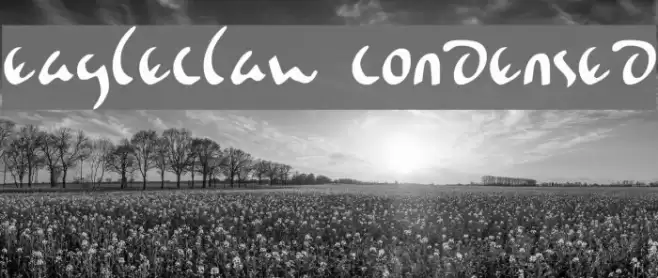 Eagleclaw Condensed Font examples