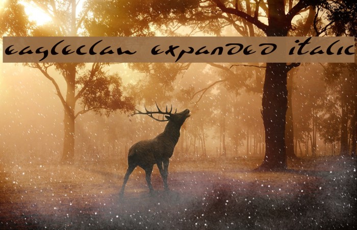 Eagleclaw Expanded Italic Font examples