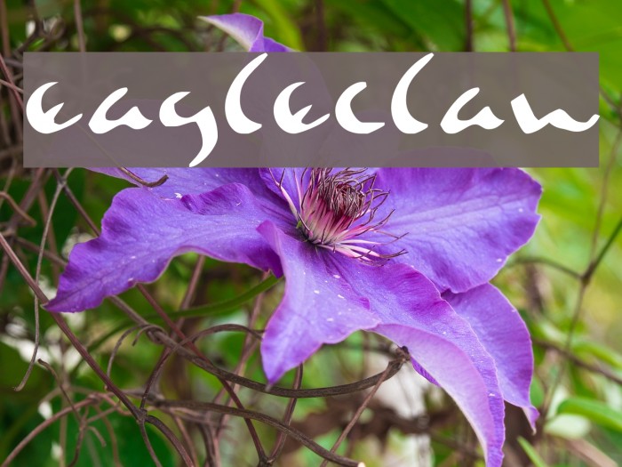 Eagleclaw फ़ॉन्ट examples