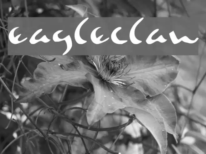 Eagleclaw Font examples