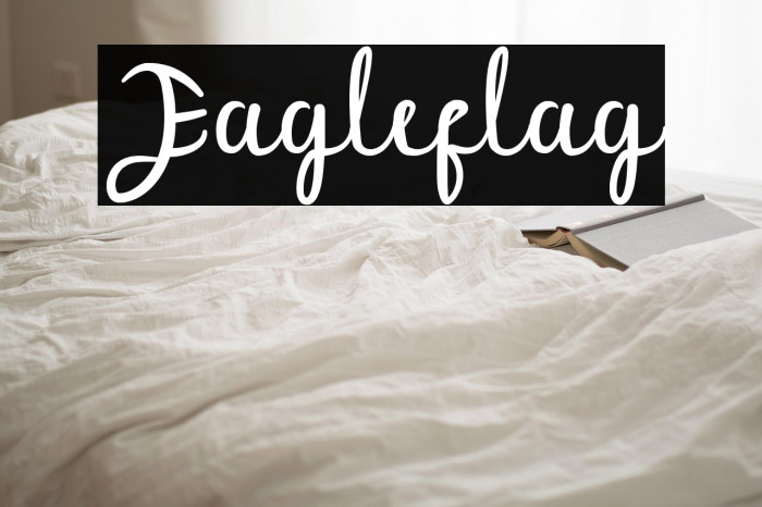 Eagleflag Example 1