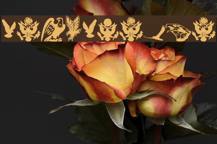 Eaglemania Example 2