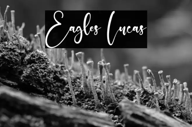 Eagles Lucas Example 1