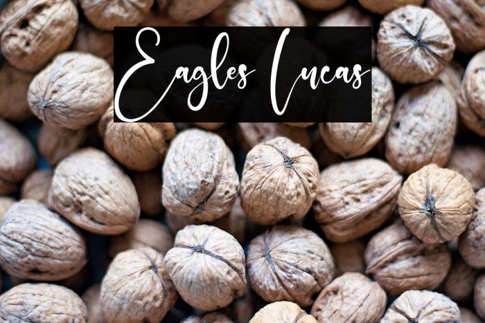 Eagles Lucas Example 3