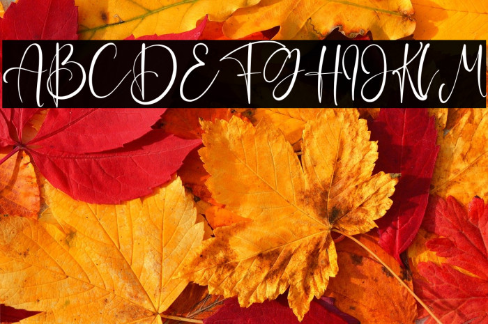 EaglesLucas Example 3