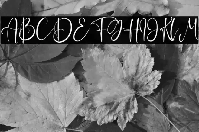 EaglesLucas Font examples