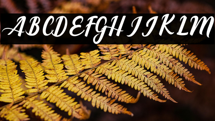 EaglesePro Example 2